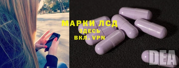 стафф Заволжье