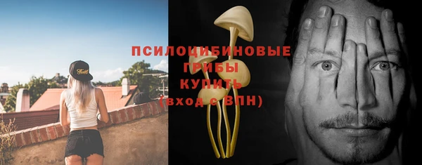 стафф Заволжье