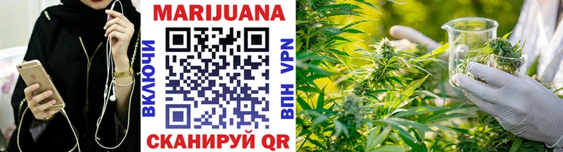 сколько стоит  Элиста  Конопля Ganja 
